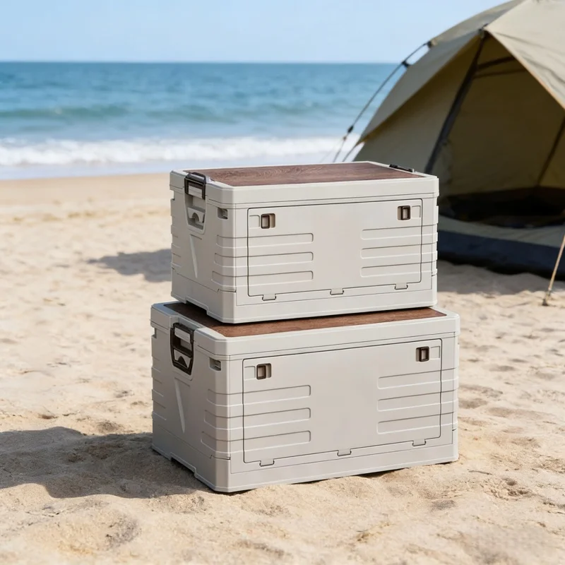 Food Storage Organization - Boîte de rangement pour voiture, boîte