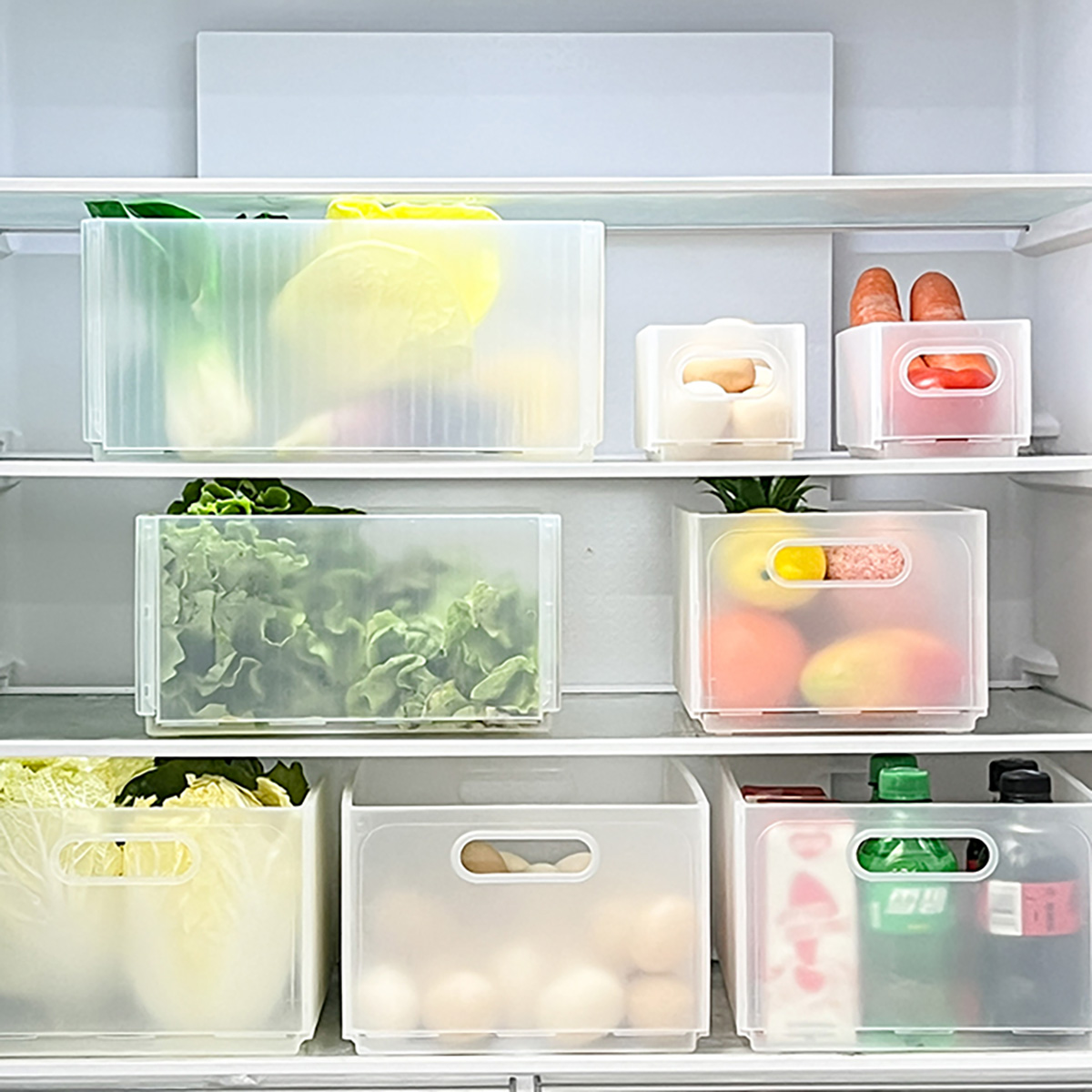 WORTHBUY – boîte de rangement  - Food Storage Without Plastic avis et prix