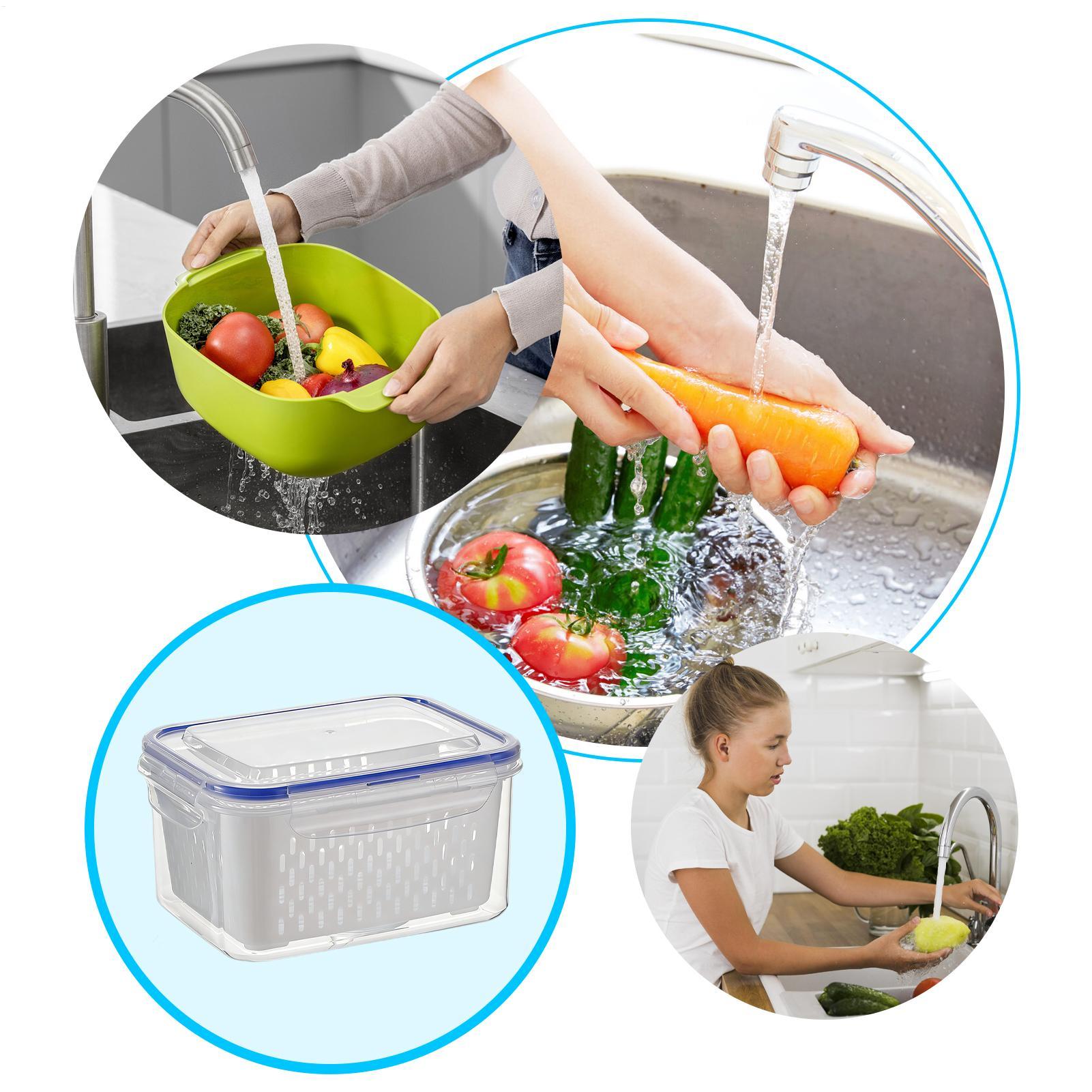 Conteneur de stockage alimenta - Food Storage Refrigerator avis et prix